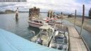 ./images/quadra/hbidock/20250511/hbidock20250511_120010M.jpg