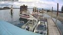 ./images/quadra/hbidock/20250511/hbidock20250511_121000M.jpg