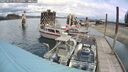./images/quadra/hbidock/20250511/hbidock20250511_121009M.jpg