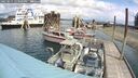 ./images/quadra/hbidock/20250511/hbidock20250511_123500M.jpg