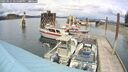./images/quadra/hbidock/20250511/hbidock20250511_141500M.jpg