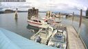 ./images/quadra/hbidock/20250511/hbidock20250511_141511M.jpg