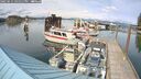 ./images/quadra/hbidock/20250511/hbidock20250511_161511M.jpg
