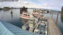 ./images/quadra/hbidock/20250511/hbidock20250511_163009M.jpg