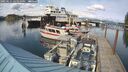 ./images/quadra/hbidock/20250511/hbidock20250511_165510M.jpg