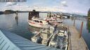 ./images/quadra/hbidock/20250511/hbidock20250511_171511M.jpg