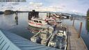 ./images/quadra/hbidock/20250511/hbidock20250511_173000M.jpg