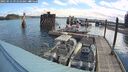 ./images/quadra/hbidock/20250512/hbidock20250512_091011M.jpg