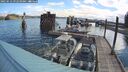 ./images/quadra/hbidock/20250512/hbidock20250512_092010M.jpg