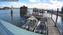 ./images/quadra/hbidock/20250512/hbidock20250512_092509M.jpg