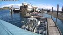 ./images/quadra/hbidock/20250512/hbidock20250512_104511M.jpg