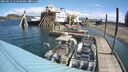 ./images/quadra/hbidock/20250512/hbidock20250512_111010M.jpg