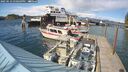./images/quadra/hbidock/20250512/hbidock20250512_170509M.jpg