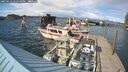 ./images/quadra/hbidock/20250512/hbidock20250512_172510M.jpg