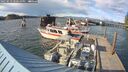 ./images/quadra/hbidock/20250512/hbidock20250512_180510M.jpg