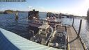 ./images/quadra/hbidock/20250513/hbidock20250513_074009M.jpg