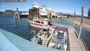 ./images/quadra/hbidock/20250513/hbidock20250513_145500M.jpg