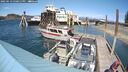 ./images/quadra/hbidock/20250513/hbidock20250513_150011M.jpg
