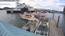 ./images/quadra/hbidock/20250513/hbidock20250513_183510M.jpg