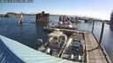 ./images/quadra/hbidock/20250514/hbidock20250514_083011M.jpg