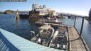 ./images/quadra/hbidock/20250514/hbidock20250514_084500M.jpg