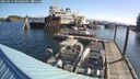 ./images/quadra/hbidock/20250514/hbidock20250514_085000M.jpg