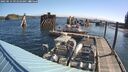 ./images/quadra/hbidock/20250514/hbidock20250514_091010M.jpg