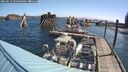 ./images/quadra/hbidock/20250514/hbidock20250514_093509M.jpg