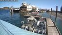 ./images/quadra/hbidock/20250514/hbidock20250514_104510M.jpg