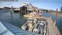 ./images/quadra/hbidock/20250514/hbidock20250514_165500M.jpg