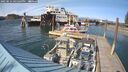 ./images/quadra/hbidock/20250514/hbidock20250514_165510M.jpg