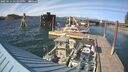 ./images/quadra/hbidock/20250514/hbidock20250514_172000M.jpg
