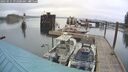 ./images/quadra/hbidock/20250515/hbidock20250515_093500M.jpg
