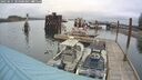 ./images/quadra/hbidock/20250515/hbidock20250515_103500M.jpg