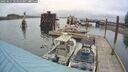 ./images/quadra/hbidock/20250515/hbidock20250515_103510M.jpg