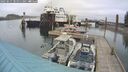 ./images/quadra/hbidock/20250515/hbidock20250515_105011M.jpg