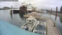 ./images/quadra/hbidock/20250515/hbidock20250515_105500M.jpg