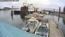 ./images/quadra/hbidock/20250515/hbidock20250515_110011M.jpg