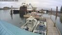 ./images/quadra/hbidock/20250515/hbidock20250515_110500M.jpg