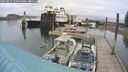 ./images/quadra/hbidock/20250515/hbidock20250515_110510M.jpg