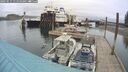 ./images/quadra/hbidock/20250515/hbidock20250515_111011M.jpg