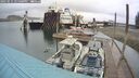./images/quadra/hbidock/20250515/hbidock20250515_145000M.jpg
