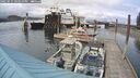 ./images/quadra/hbidock/20250515/hbidock20250515_165010M.jpg