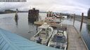 ./images/quadra/hbidock/20250515/hbidock20250515_173010M.jpg