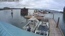 ./images/quadra/hbidock/20250515/hbidock20250515_204009M.jpg