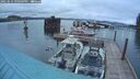 ./images/quadra/hbidock/20250515/hbidock20250515_210509M.jpg