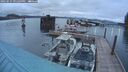 ./images/quadra/hbidock/20250515/hbidock20250515_211009M.jpg