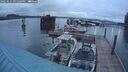 ./images/quadra/hbidock/20250515/hbidock20250515_211509M.jpg