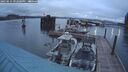 ./images/quadra/hbidock/20250515/hbidock20250515_212000M.jpg