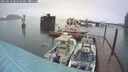./images/quadra/hbidock/20250516/hbidock20250516_082009M.jpg